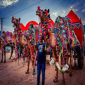 Camel Fair Pushkar
