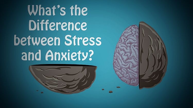 Anxiety Vs Stress