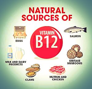 Vitamin B12 Food Sources