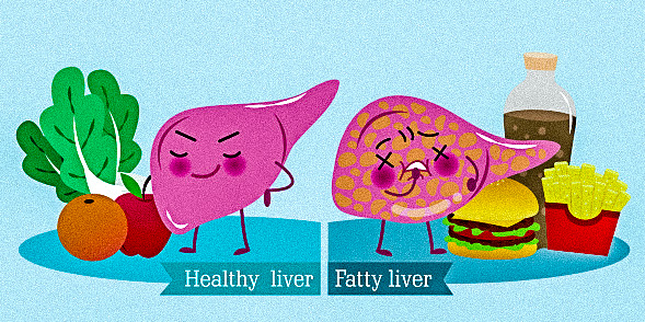 Healthy Liver Vs Fatty Liver