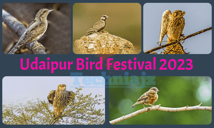 Udaipur Bird Festival 2023