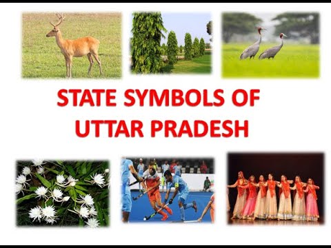 State Emblem and State Symbol of Uttar Pradesh