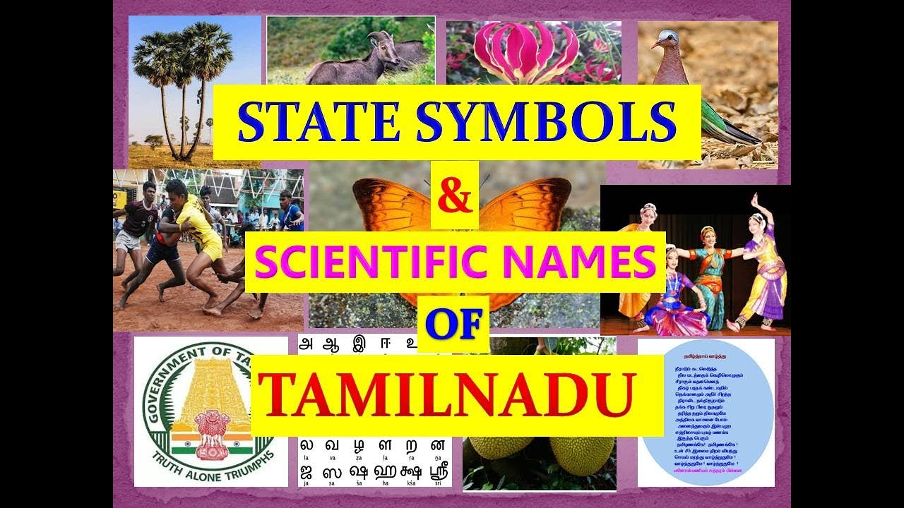 State Emblem and Symbols of Tamil Nadu