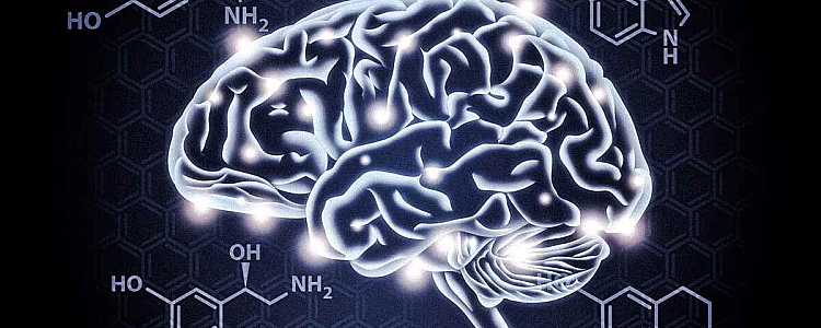 What is Dopamine, Why it is Necessary, and How to Boost Dopamine Naturally?