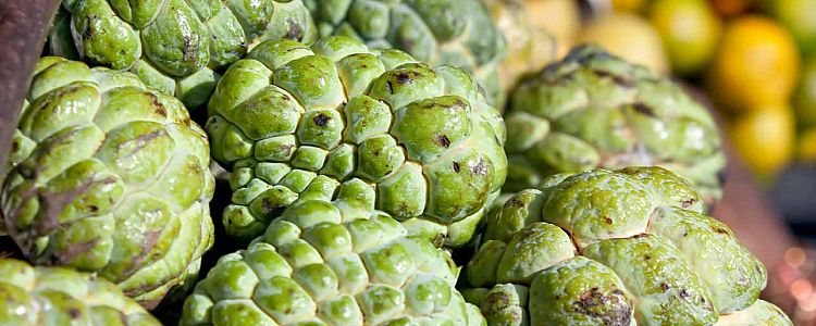 Health Benefits of Sitaphal (Custard Apple) and Side Effects