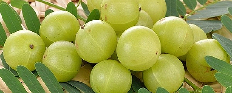 Amla: The Superfruit with Extraordinary 7 Health Benefits