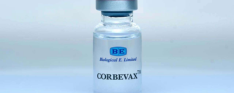 Everything About Corbevax - India