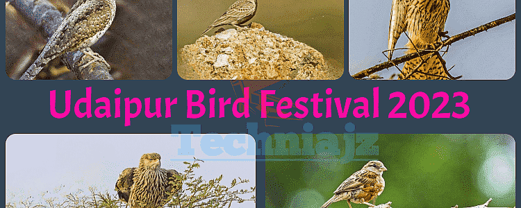 Udaipur Bird Festival 2023: Udaipur is set for the 9th Annual Bird Festival