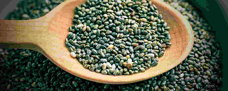 What is Chia Seed, Nutritional Values, Health Benefits, Dishes and Precautions
