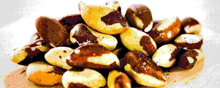 Brazil Nuts - Nutritional Facts, Health Benefits, Uses and Side Effects