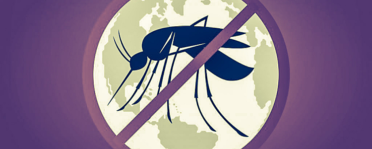 World Malaria Day, History, Theme, Significance, and Prevention