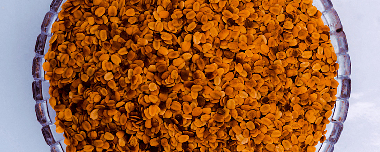 Health Benefits of Dhana Dal (Roasted Coriander Seeds)