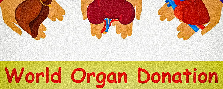World Organ Donation Day 2022: History, Significance, Types of Organ Donation