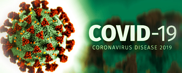 What is Pandemic Wave and Third Wave of COVID-19