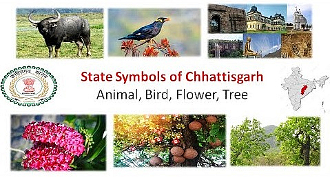 State Emblem and Symbols of Chhattisgarh
