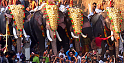PariyanamPatta Pooram Festival: The Most Celebrated and Spectacular Festival of Kerala