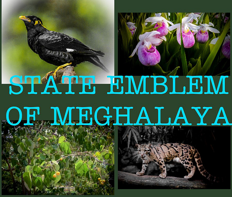 State Emblem and Symbols of Meghalaya