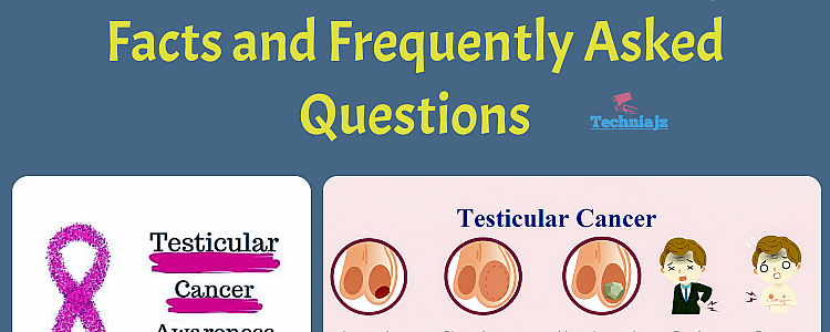 Testicular Cancer - Common Myths, Facts and Frequently Asked Questions