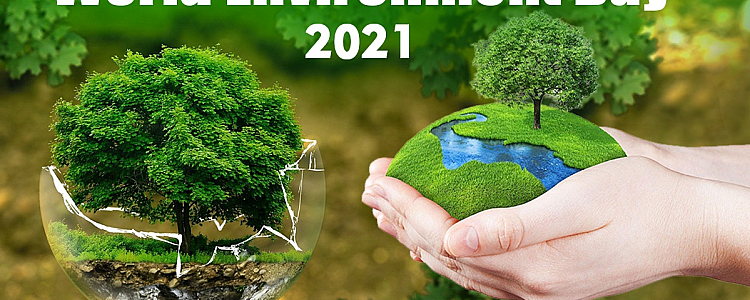 International Environment Day2021