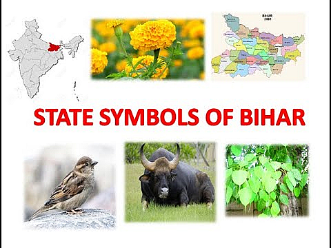 State Emblem and Symbols of Bihar